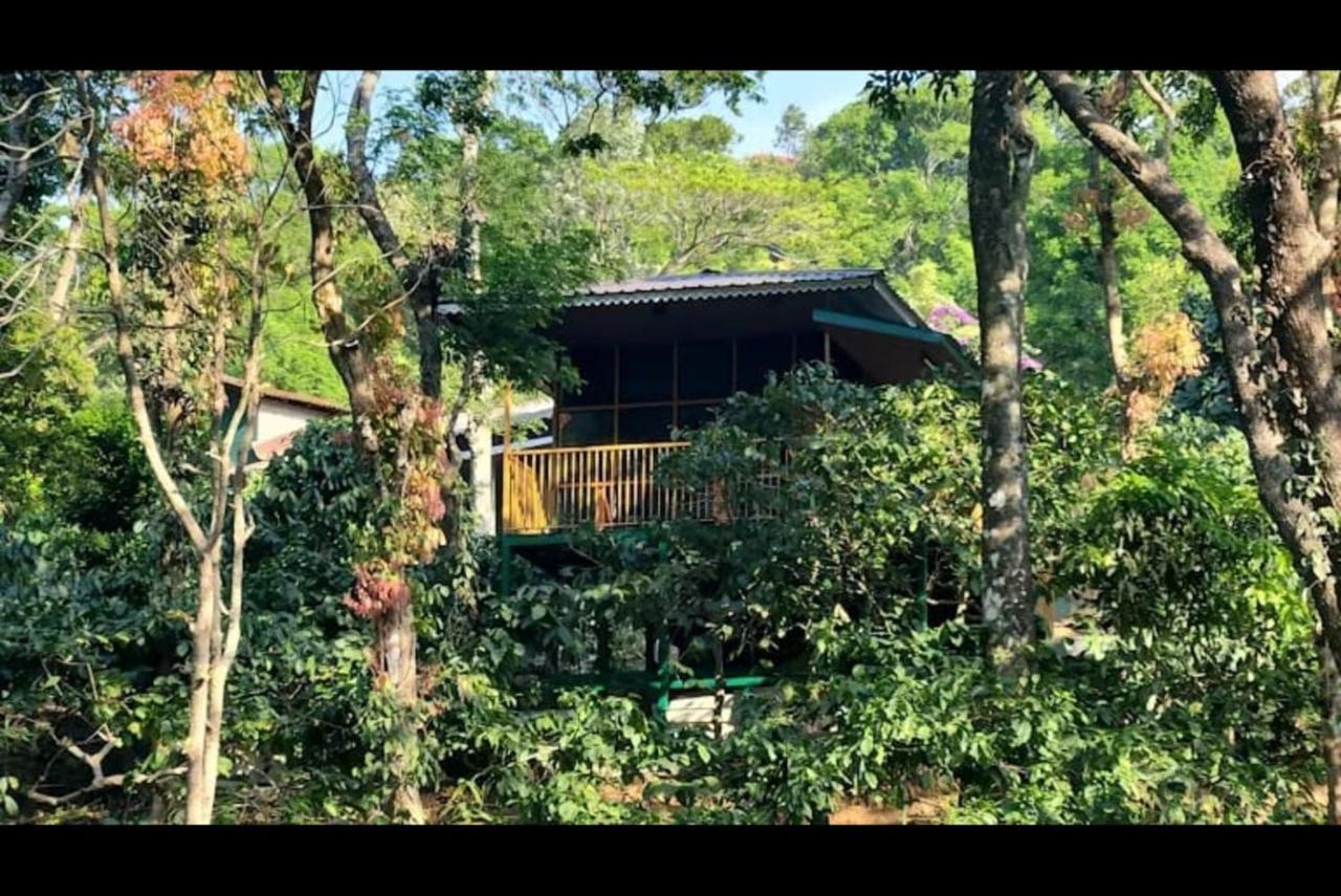 Hill Valley Farm House Nelliyampathy المظهر الخارجي الصورة