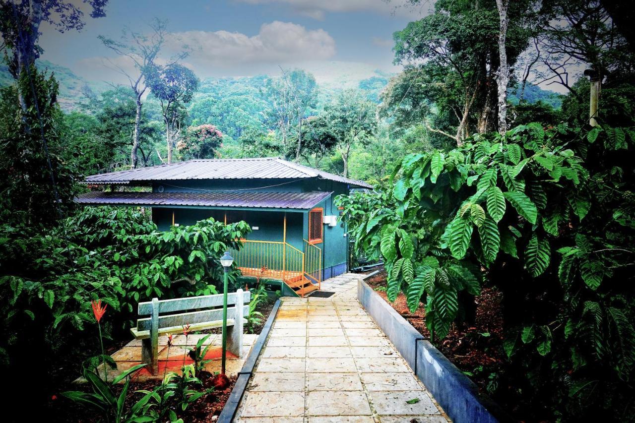 Hill Valley Farm House Nelliyampathy المظهر الخارجي الصورة