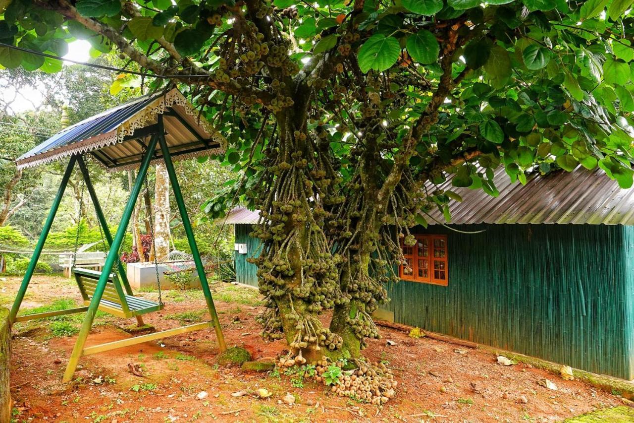 Hill Valley Farm House Nelliyampathy المظهر الخارجي الصورة