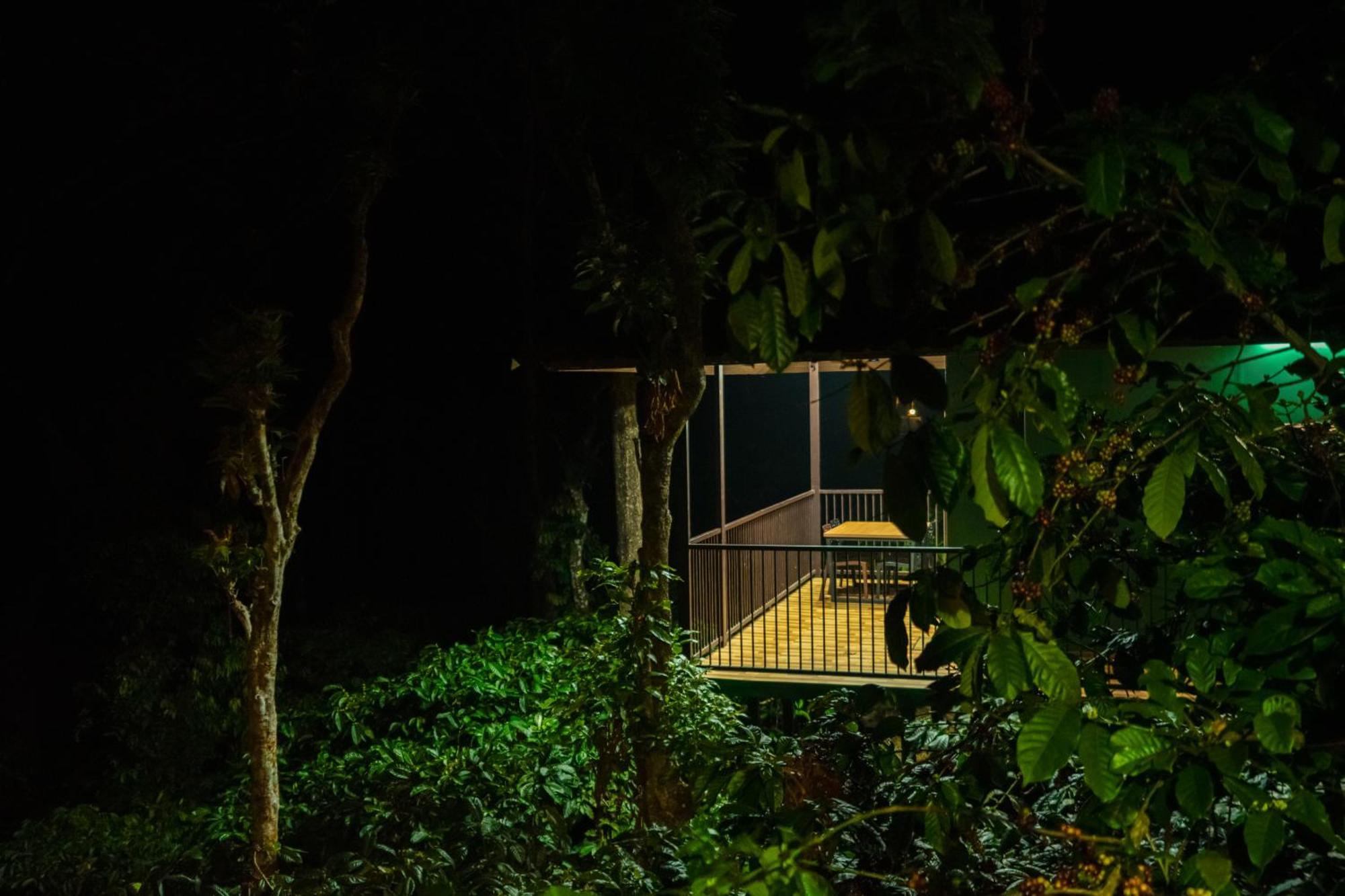 Hill Valley Farm House Nelliyampathy المظهر الخارجي الصورة