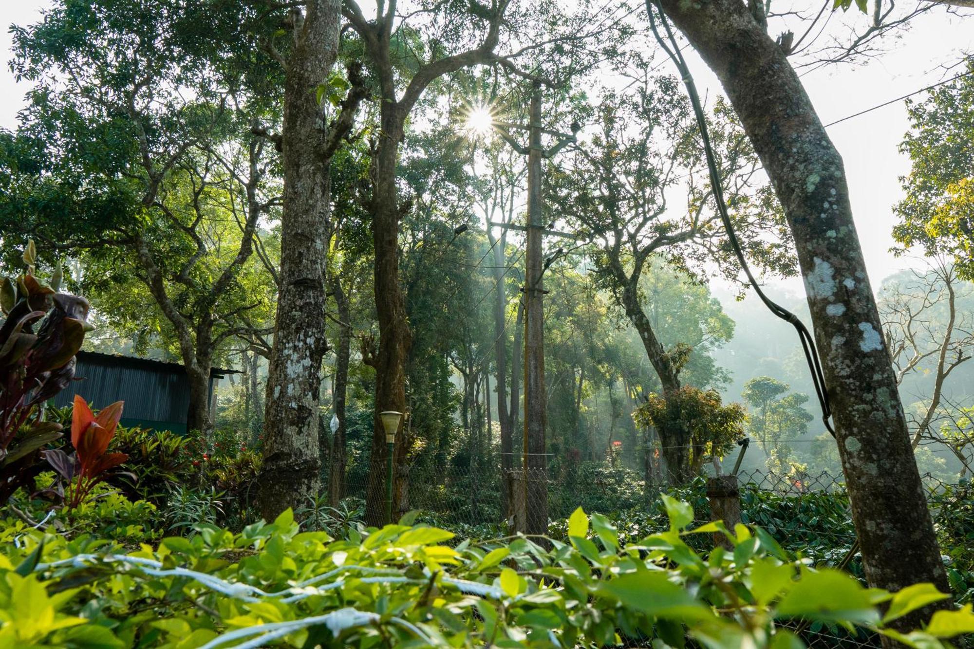 Hill Valley Farm House Nelliyampathy المظهر الخارجي الصورة