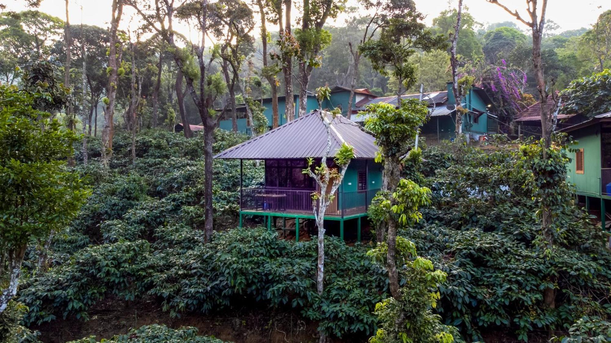Hill Valley Farm House Nelliyampathy المظهر الخارجي الصورة